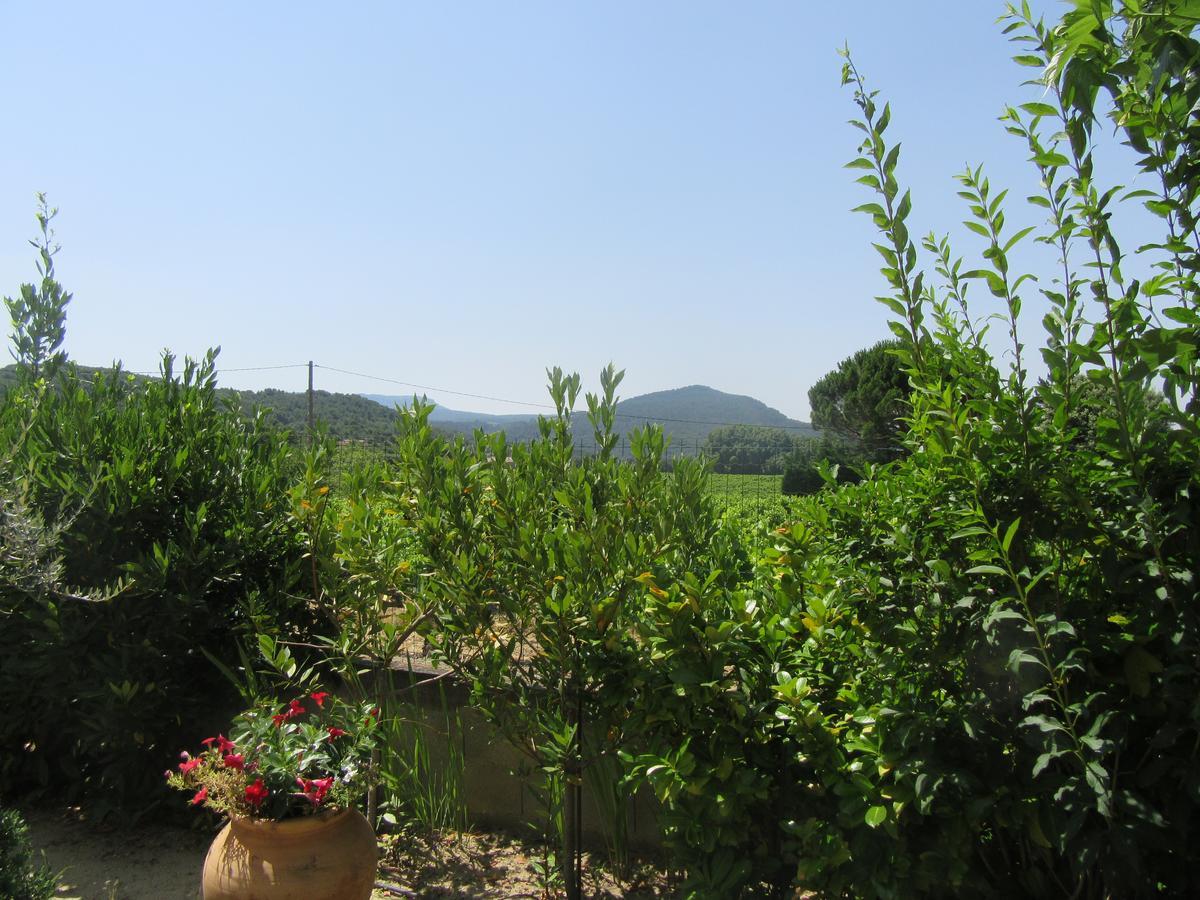 Le Grand Barsan Apartment Vaison-la-Romaine Exterior photo