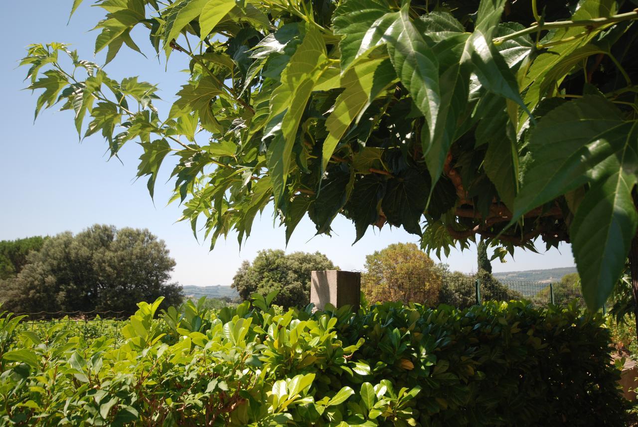 Le Grand Barsan Apartment Vaison-la-Romaine Exterior photo